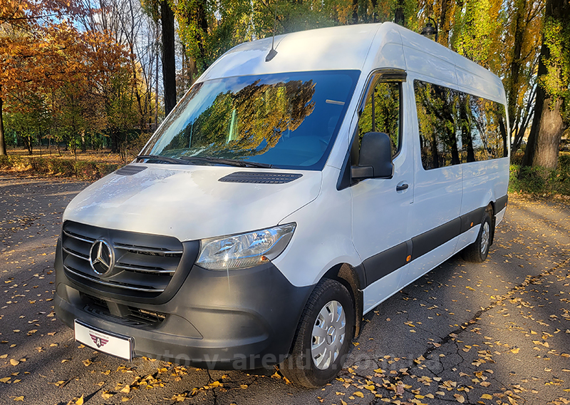 Аренда микроавтобуса с водителем Mercedes Sprinter VIP на 8-12 мест